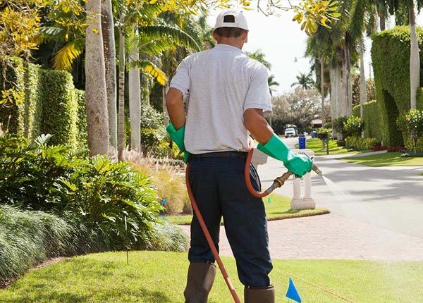 About Camp Verde AZ Pest Control Pros